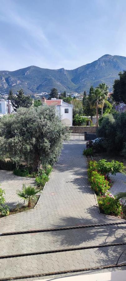Suluca Homes كيرينيا المظهر الخارجي الصورة