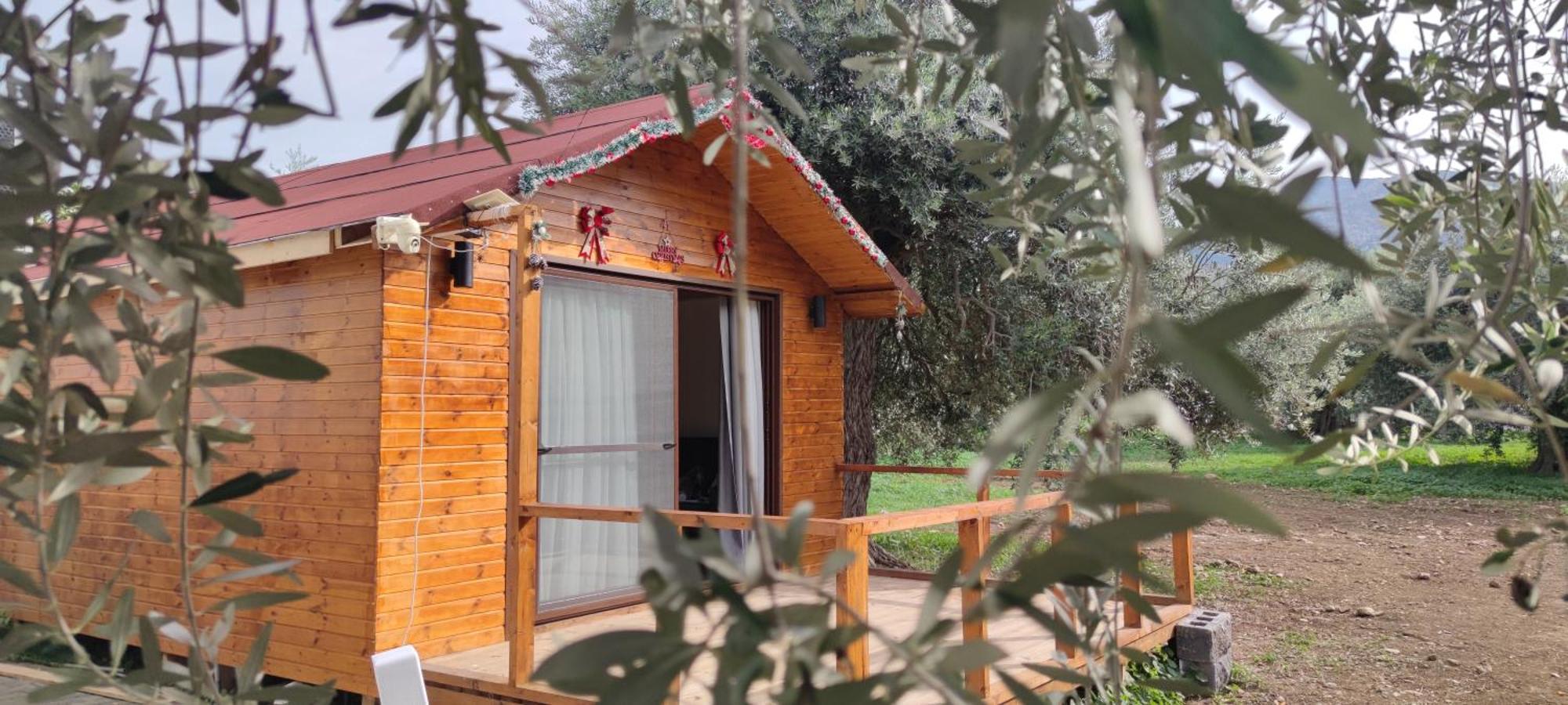 Suluca Homes كيرينيا المظهر الخارجي الصورة