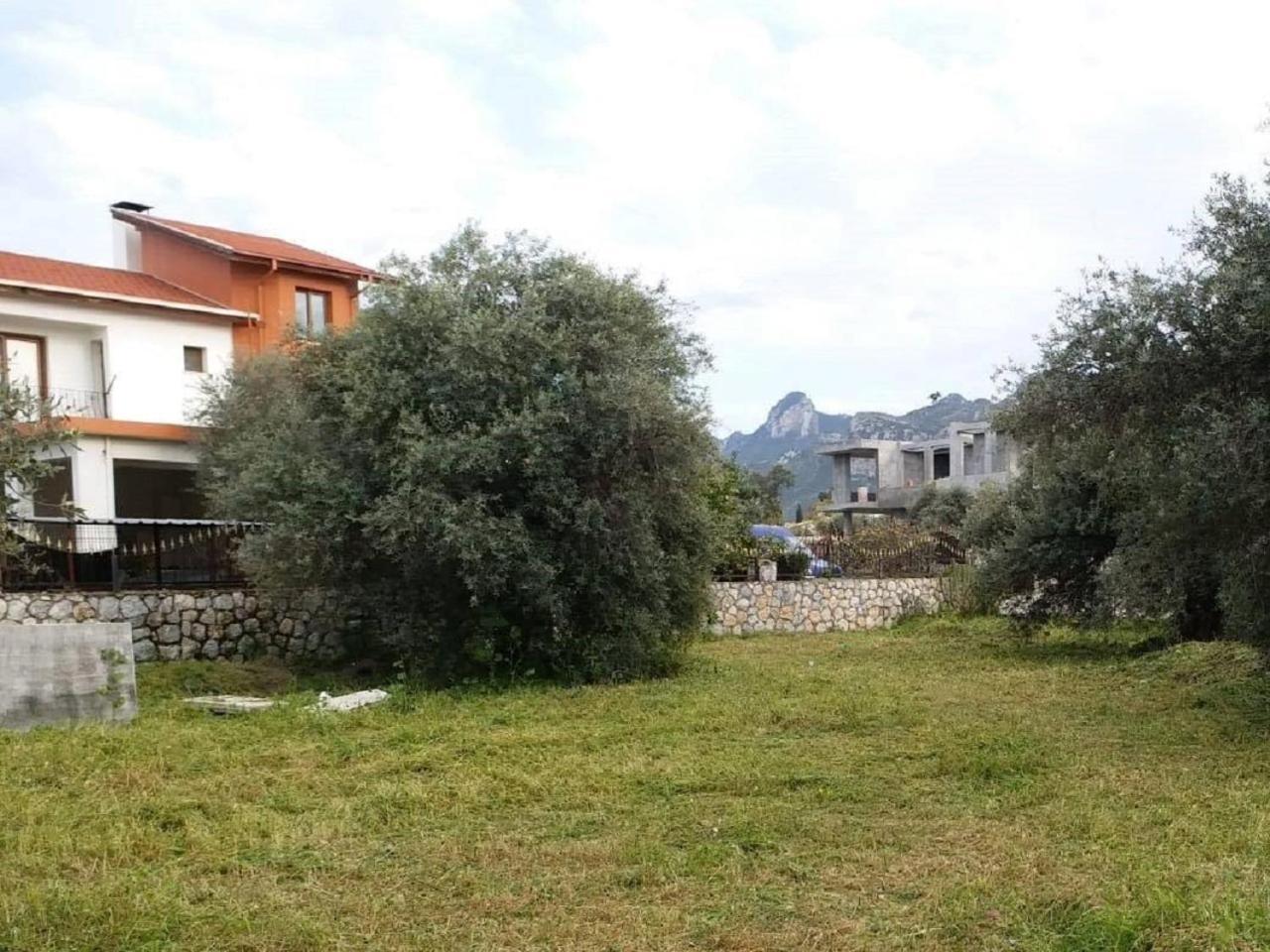 Suluca Homes كيرينيا المظهر الخارجي الصورة