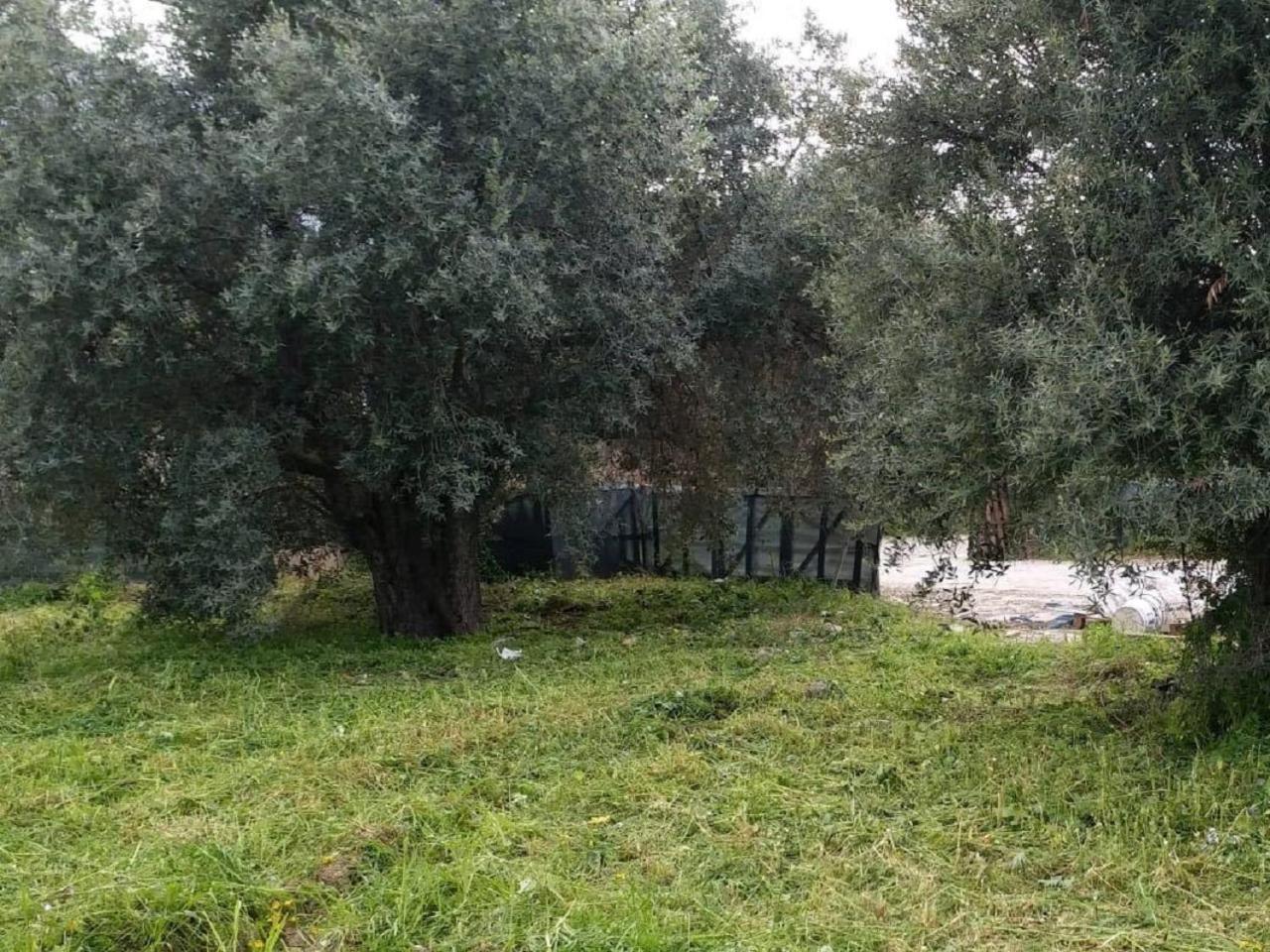 Suluca Homes كيرينيا المظهر الخارجي الصورة