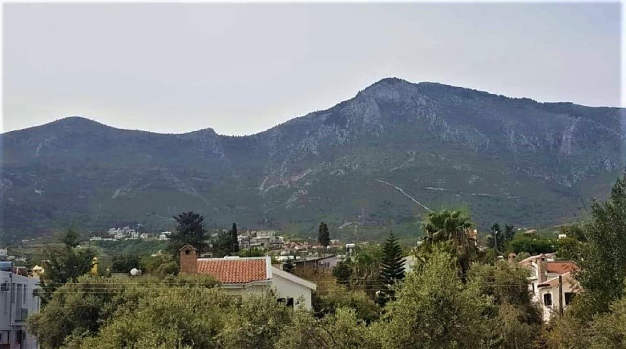 Suluca Homes كيرينيا المظهر الخارجي الصورة
