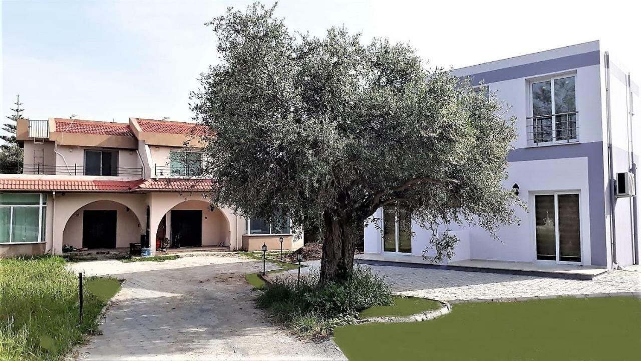 Suluca Homes كيرينيا المظهر الخارجي الصورة